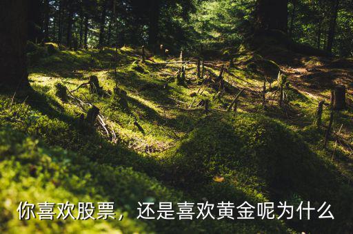 你喜歡股票，還是喜歡黃金呢為什么