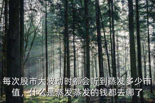 股災蒸發(fā)了多少錢,蒸發(fā)的錢都去哪了