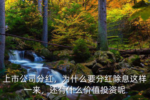 上市公司分紅，為什么要分紅除息這樣一來，還有什么價(jià)值投資呢