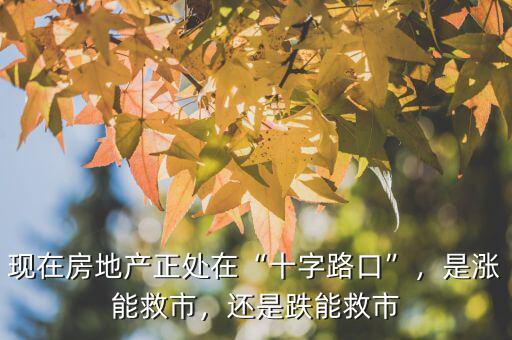 現(xiàn)在房地產(chǎn)正處在“十字路口”，是漲能救市，還是跌能救市