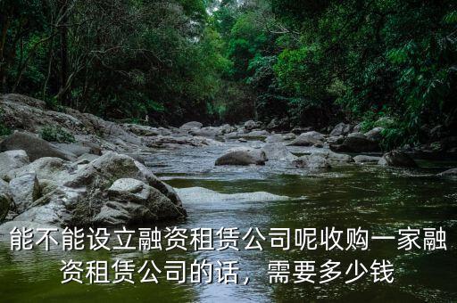 融資租賃公司多少家,收購(gòu)一家融資租賃公司的話(huà)