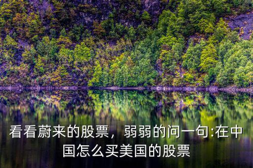 看看蔚來(lái)的股票，弱弱的問(wèn)一句:在中國(guó)怎么買(mǎi)美國(guó)的股票