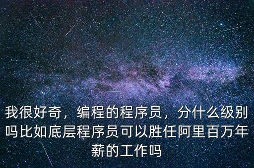我很好奇，編程的程序員，分什么級別嗎比如底層程序員可以勝任阿里百萬年薪的工作嗎