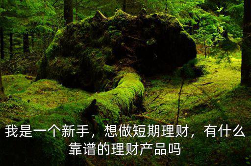 我是一個(gè)新手，想做短期理財(cái)，有什么靠譜的理財(cái)產(chǎn)品嗎