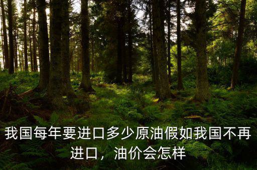 我國每年要進口多少原油假如我國不再進口，油價會怎樣