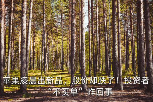 蘋果凌晨出新品，股價卻跌了！投資者“不買單”咋回事