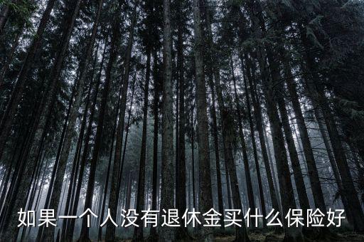 沒(méi)有退休金年輕人買(mǎi)什么保險(xiǎn),買(mǎi)什么保險(xiǎn)可以有保障