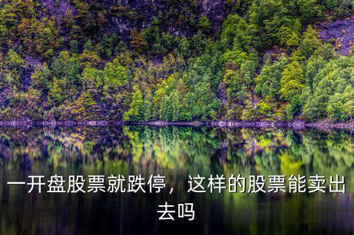 一開(kāi)盤股票就跌停，這樣的股票能賣出去嗎