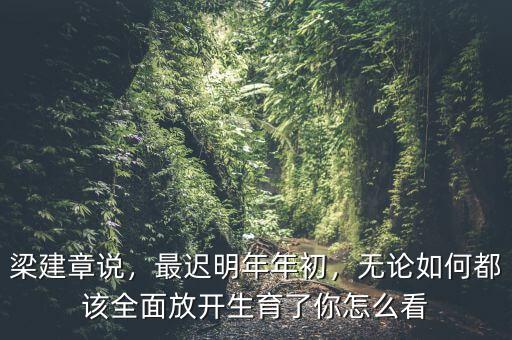 梁建章說，最遲明年年初，無論如何都該全面放開生育了你怎么看