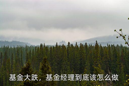 基金大跌，基金經(jīng)理到底該怎么做
