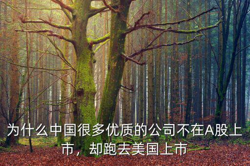 為什么中國很多優(yōu)質(zhì)的公司不在A股上市，卻跑去美國上市