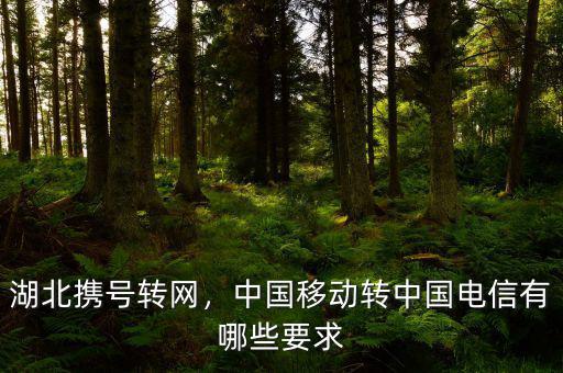 湖北攜號轉(zhuǎn)網(wǎng)，中國移動轉(zhuǎn)中國電信有哪些要求