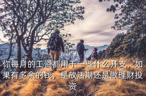 你每月的工資都用于一些什么開支，如果有多余的錢，是放活期還是做理財(cái)投資