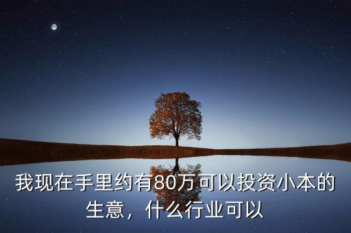 我現在手里約有80萬可以投資小本的生意，什么行業(yè)可以