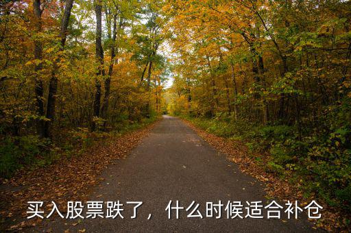 買入股票跌了，什么時(shí)候適合補(bǔ)倉