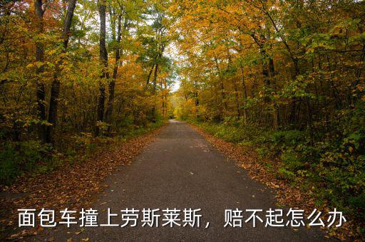 面包車撞上勞斯萊斯，賠不起怎么辦