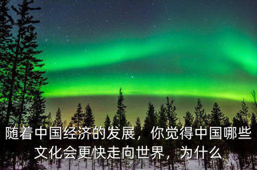 隨著中國(guó)經(jīng)濟(jì)的發(fā)展，你覺(jué)得中國(guó)哪些文化會(huì)更快走向世界，為什么