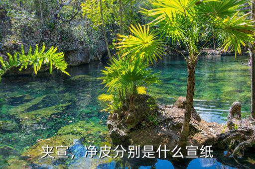 夾宣，凈皮分別是什么宣紙