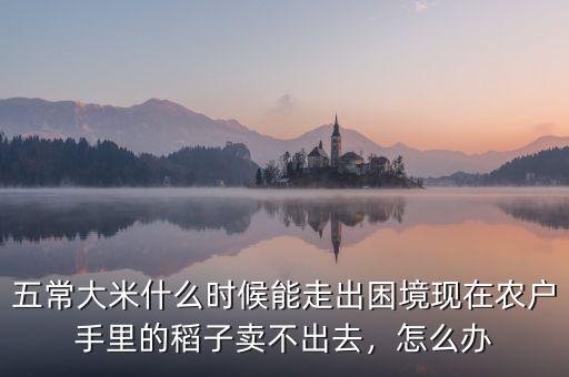 15年農戶糧食賣不出去怎么辦,現(xiàn)在農戶手里的稻子賣不出去