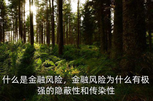什么是金融風(fēng)險，金融風(fēng)險為什么有極強(qiáng)的隱蔽性和傳染性