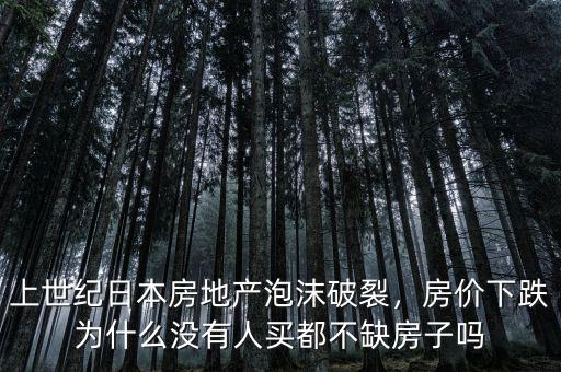 上世紀(jì)日本房地產(chǎn)泡沫破裂，房?jī)r(jià)下跌為什么沒有人買都不缺房子嗎