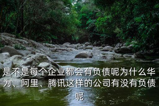 是不是每個企業(yè)都會有負(fù)債呢為什么華為、阿里、騰訊這樣的公司有沒有負(fù)債呢