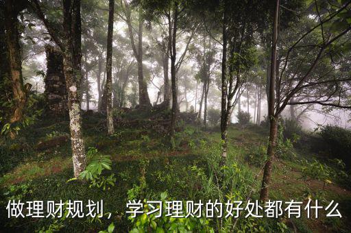 做理財(cái)規(guī)劃，學(xué)習(xí)理財(cái)?shù)暮锰幎加惺裁? class=