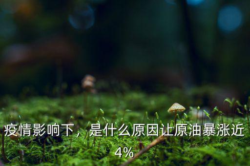 疫情影響下，是什么原因讓原油暴漲近4%