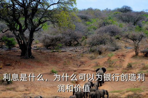 利息是什么，為什么可以為銀行創(chuàng)造利潤和價值