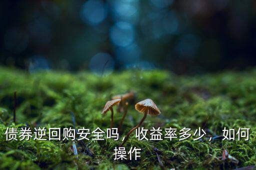 債券逆回購安全嗎，收益率多少，如何操作