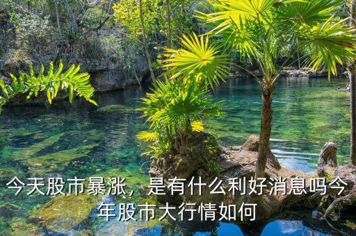 今天股市暴漲，是有什么利好消息嗎今年股市大行情如何