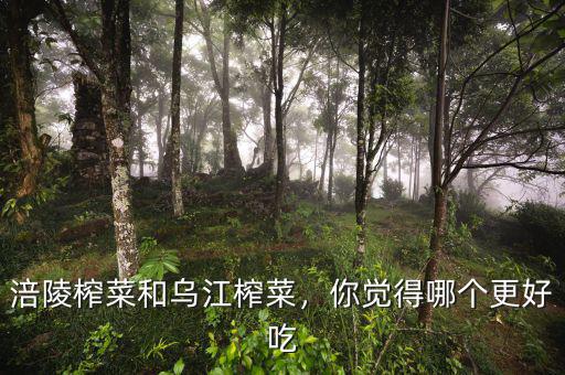 涪陵榨菜和烏江榨菜，你覺(jué)得哪個(gè)更好吃