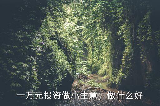一萬元投資做小生意，做什么好