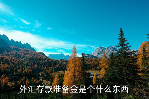 存款準備金是什么,外匯存款準備金是個什么東西