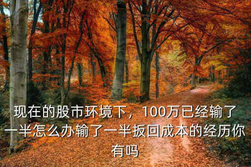 現(xiàn)在的股市環(huán)境下，100萬已經(jīng)輸了一半怎么辦輸了一半扳回成本的經(jīng)歷你有嗎