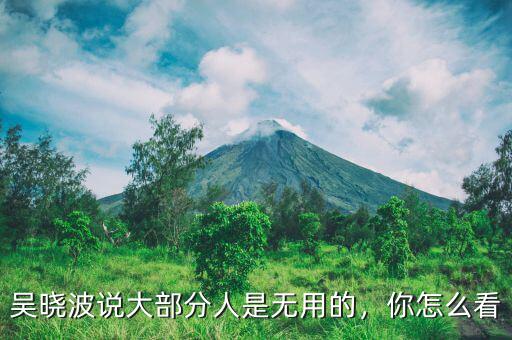 吳曉波說大部分人是無用的，你怎么看