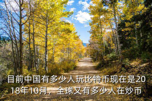 目前中國有多少人玩比特幣現(xiàn)在是2018年10月，全球又有多少人在炒幣