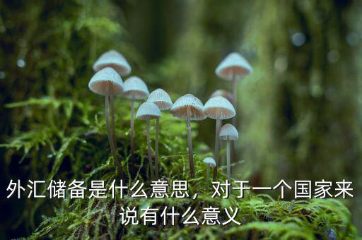 外匯儲(chǔ)備是什么意思，對(duì)于一個(gè)國(guó)家來(lái)說(shuō)有什么意義
