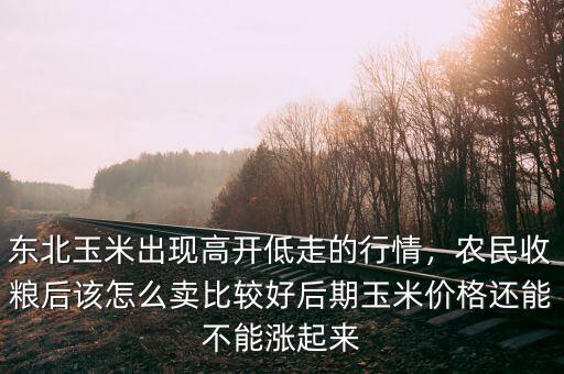東北玉米怎么走,東北玉米出現(xiàn)高開(kāi)低走的行情