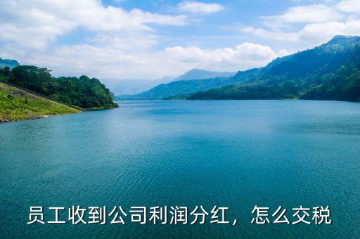 員工收到公司利潤(rùn)分紅，怎么交稅