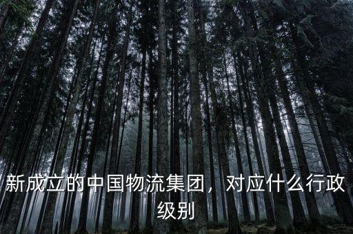 新成立的中國(guó)物流集團(tuán)，對(duì)應(yīng)什么行政級(jí)別