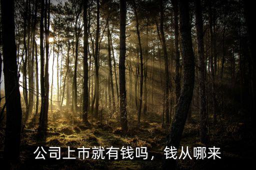 公司上市就有錢嗎，錢從哪來(lái)