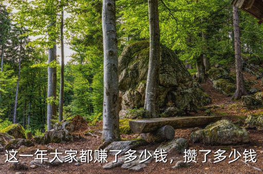 這一年大家都賺了多少錢，攢了多少錢