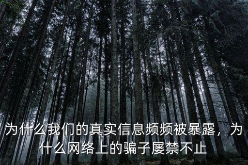 為什么我們的真實(shí)信息頻頻被暴露，為什么網(wǎng)絡(luò)上的騙子屢禁不止