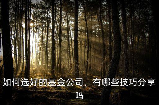 如何選好的基金公司，有哪些技巧分享嗎