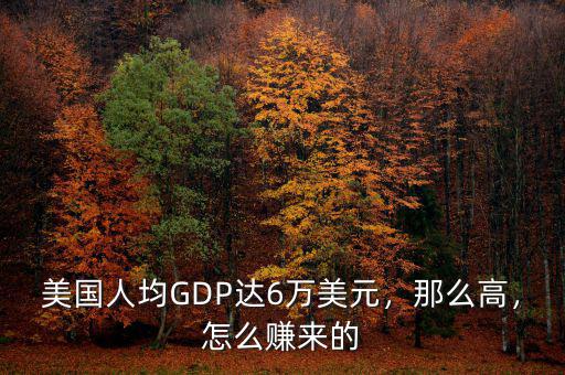 美國人均GDP達(dá)6萬美元，那么高，怎么賺來的