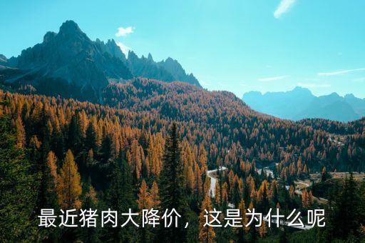 最近豬肉大降價，這是為什么呢