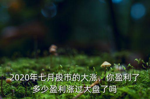 2020年七月股市的大漲，你盈利了多少盈利漲過大盤了嗎