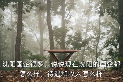 沈陽國企很多，說說現(xiàn)在沈陽的國企都怎么樣，待遇和收入怎么樣