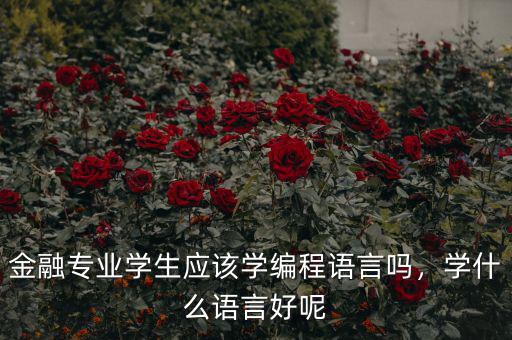 金融專業(yè)學(xué)生應(yīng)該學(xué)編程語言嗎，學(xué)什么語言好呢